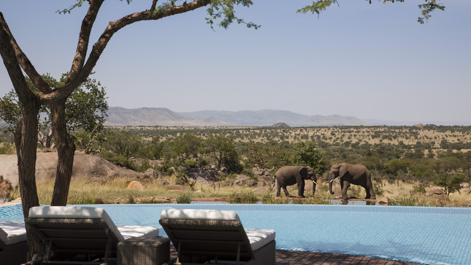 Four Seasons Safari Lodge Serengeti – luxury lodge in Tanzania