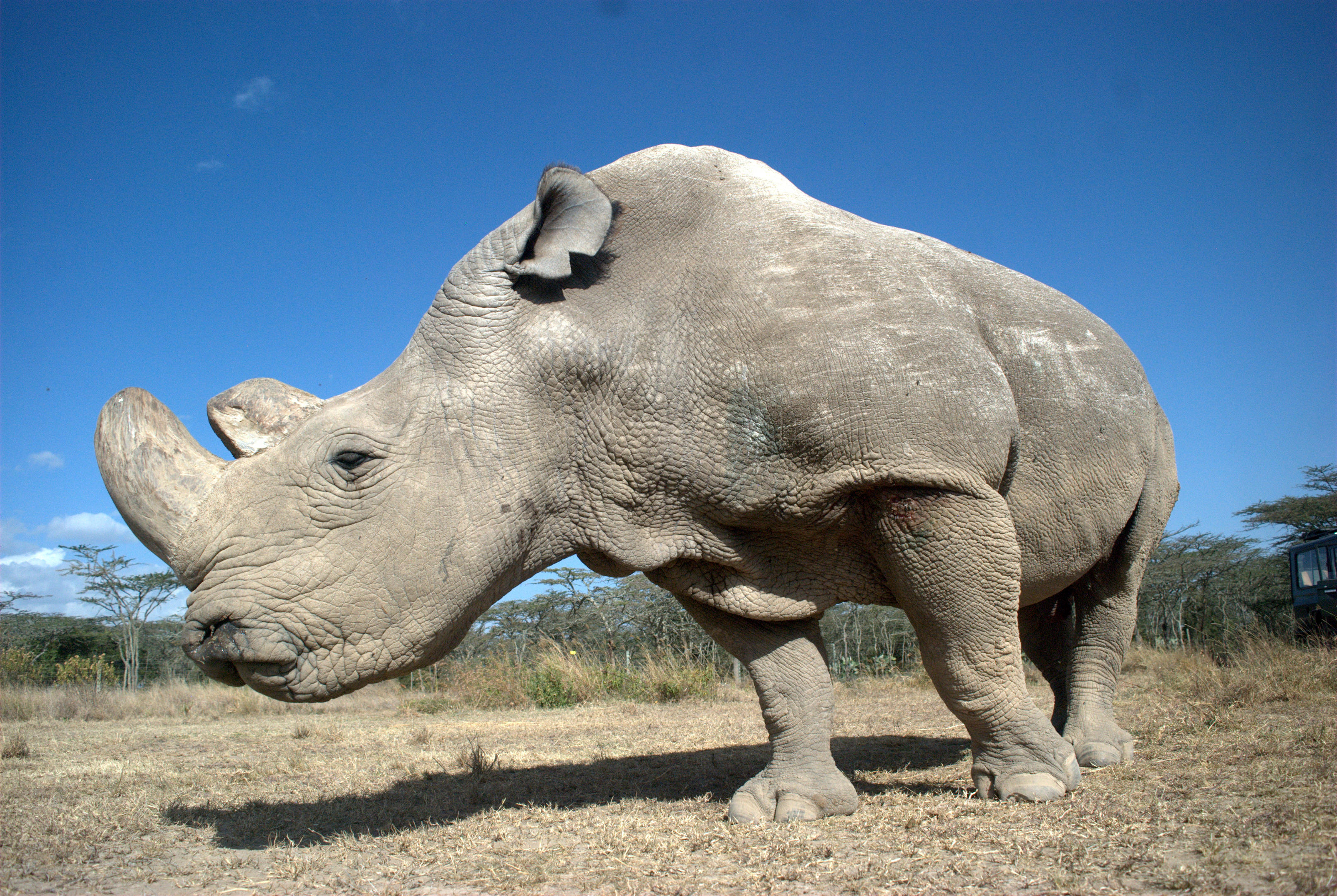 Luxury Laikipia Experience